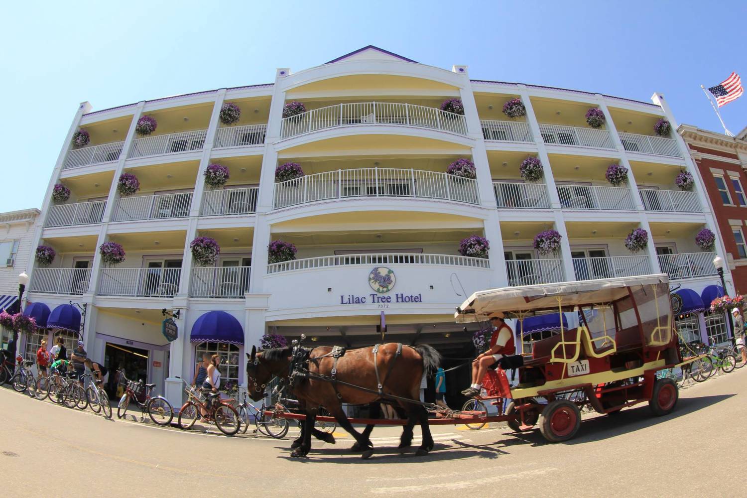 Lilac-Tree Lilac Tree Suites on Mackinac Island is the best hotel to stay and it's located right on Main Street.